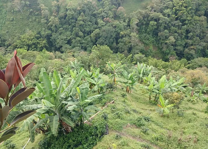 El Eden