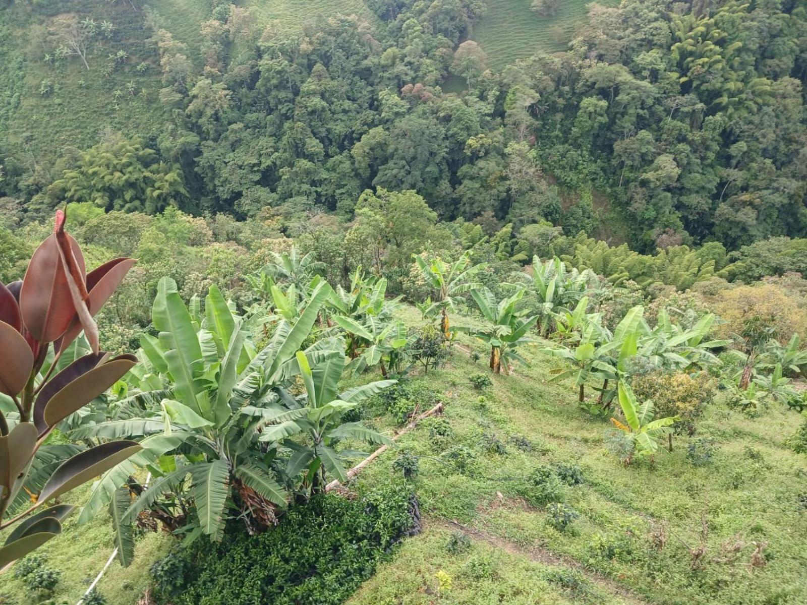 El Eden Chalet Manizales